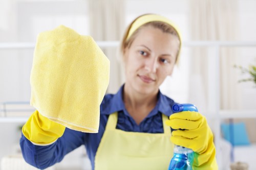 Professional Bellingham carpet cleaning improving a home interior