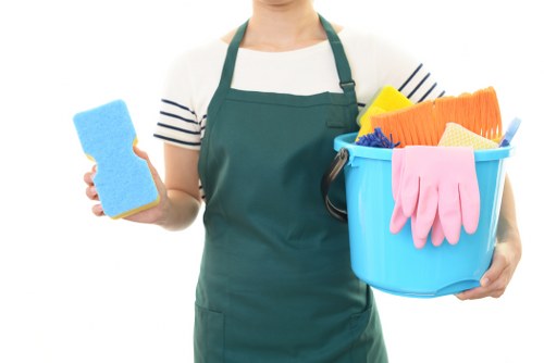 Accessibility review for Bellingham Carpet Cleaners with focus on usability