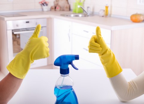 Stain removal treatment in a Bellingham home setting