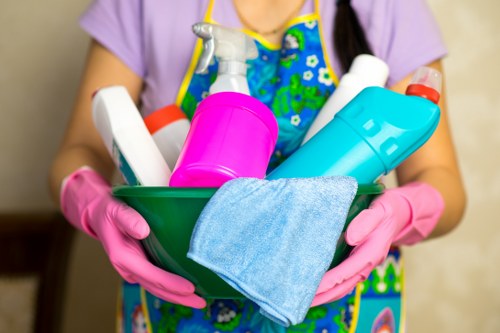 Customer complaint being logged for carpet cleaning service review