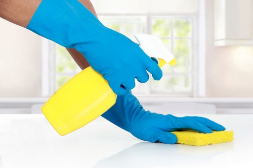 Professional mattress cleaning in a Bellingham bedroom