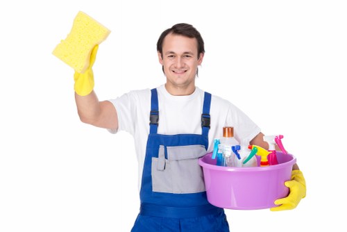 Kitchen stain cleanup and surface care in Bellingham