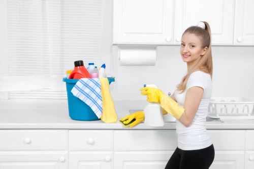 Carpet cleaning treatment for pet stain odour removal in Bellingham
