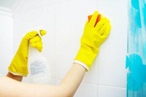 DIY and professional couch cleaning comparison