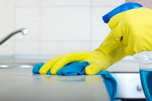 Professional carpet maintenance for a busy Bellingham business
