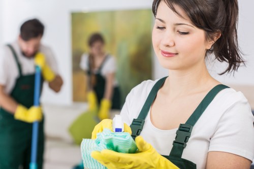 Screen-reader friendly Bellingham carpet cleaners page layout with clear headings