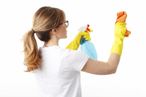 Common household stains seen in Bellingham carpets and upholstery