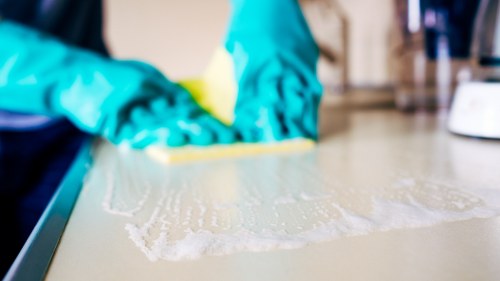 Enzyme cleaner being used on a pet urine stain on carpet