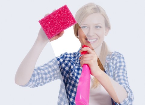 Pricing factors for carpet cleaning in a Bellingham home with stairs and traffic