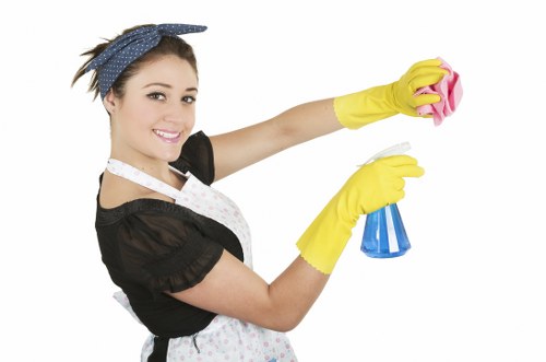 Stain removal treatment for a rug in Bellingham