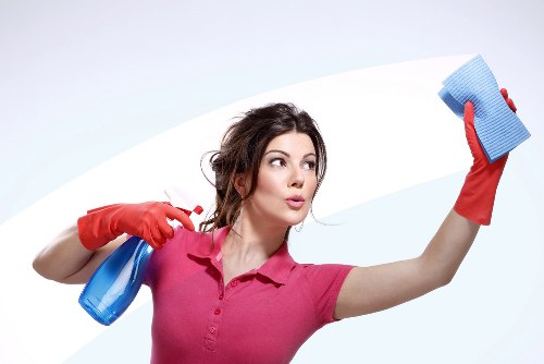 Hot water extraction equipment cleaning a carpet in Bellingham