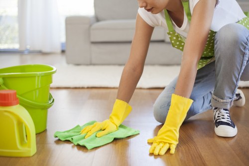 Upholstery cleaning for lingering pet odours in a Bellingham home